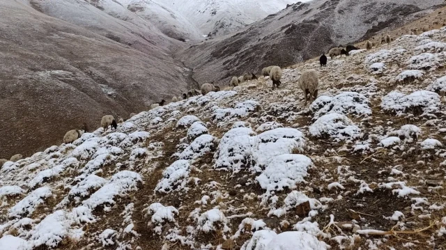 vanin yukseklerine kar yagdi hazirliksiz yakalanan cobanlar zor anlar yasadi yIGs44WM