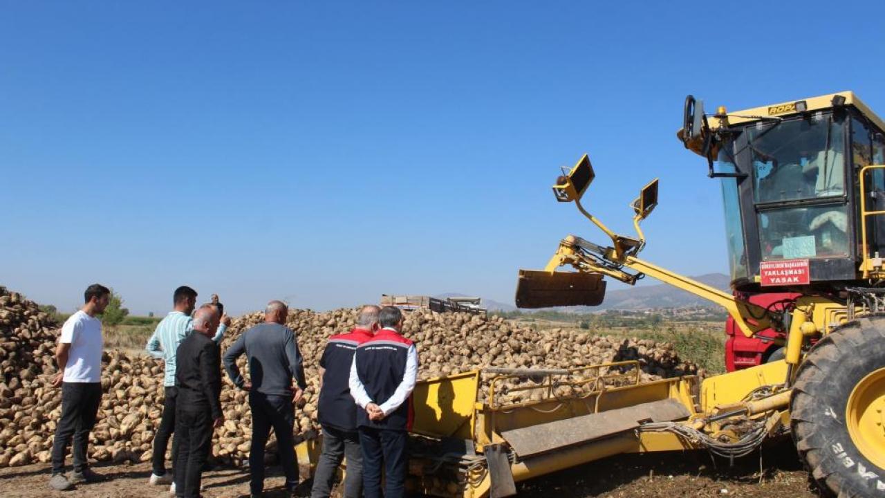 450 bin tonluk hasat bekleniyor pancar uretiminde son durum b2F2b6KQ