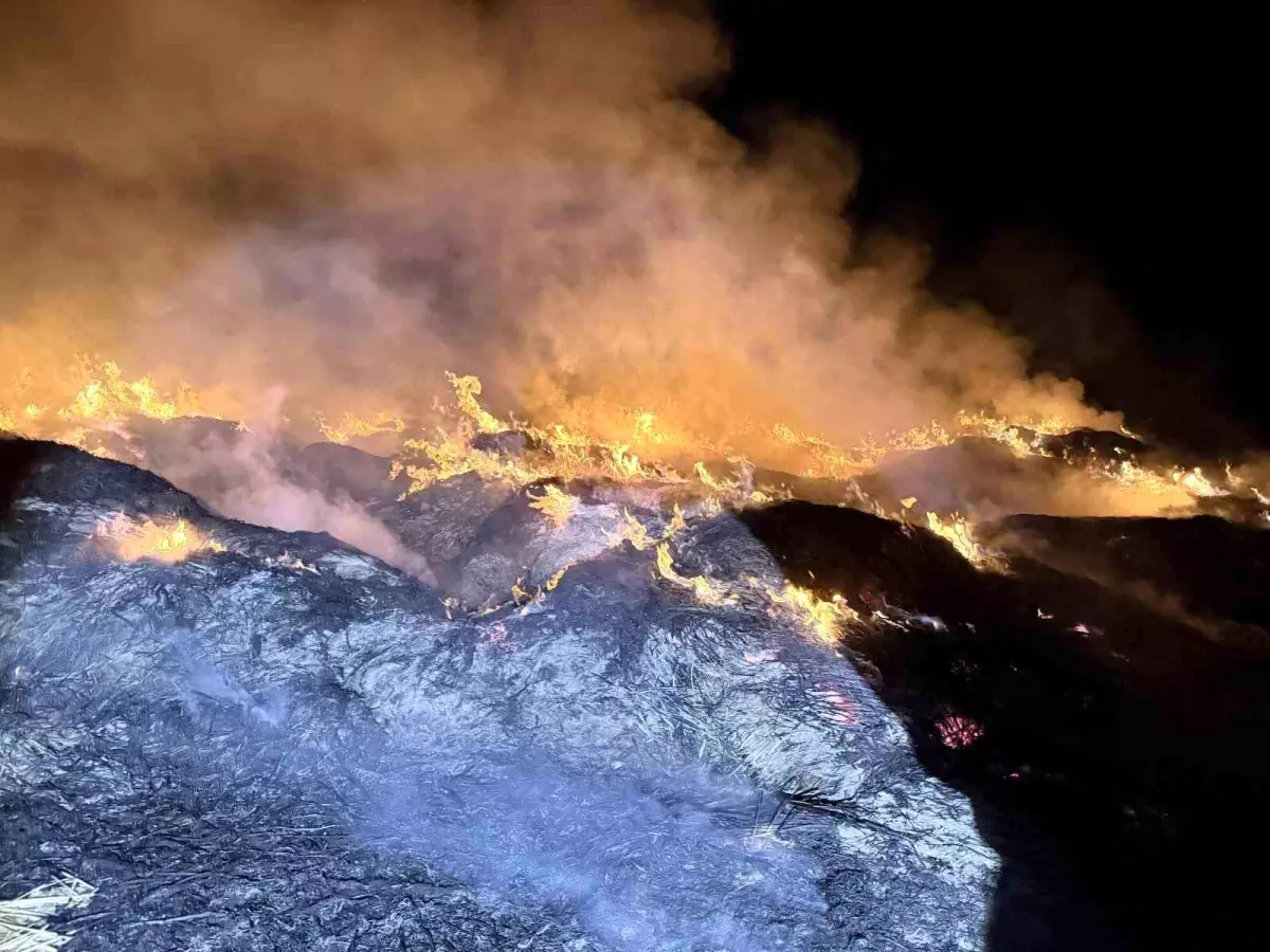 afyonkarahisarda yangin eber golunden toplanan kamislarin depolari alev aldi iaLtPZR5