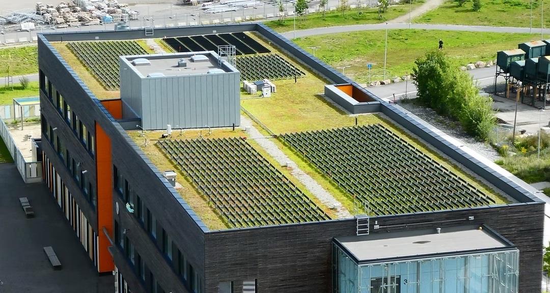 dikey gunes panelleri ve yesil cati bir arada HjPcY8d8