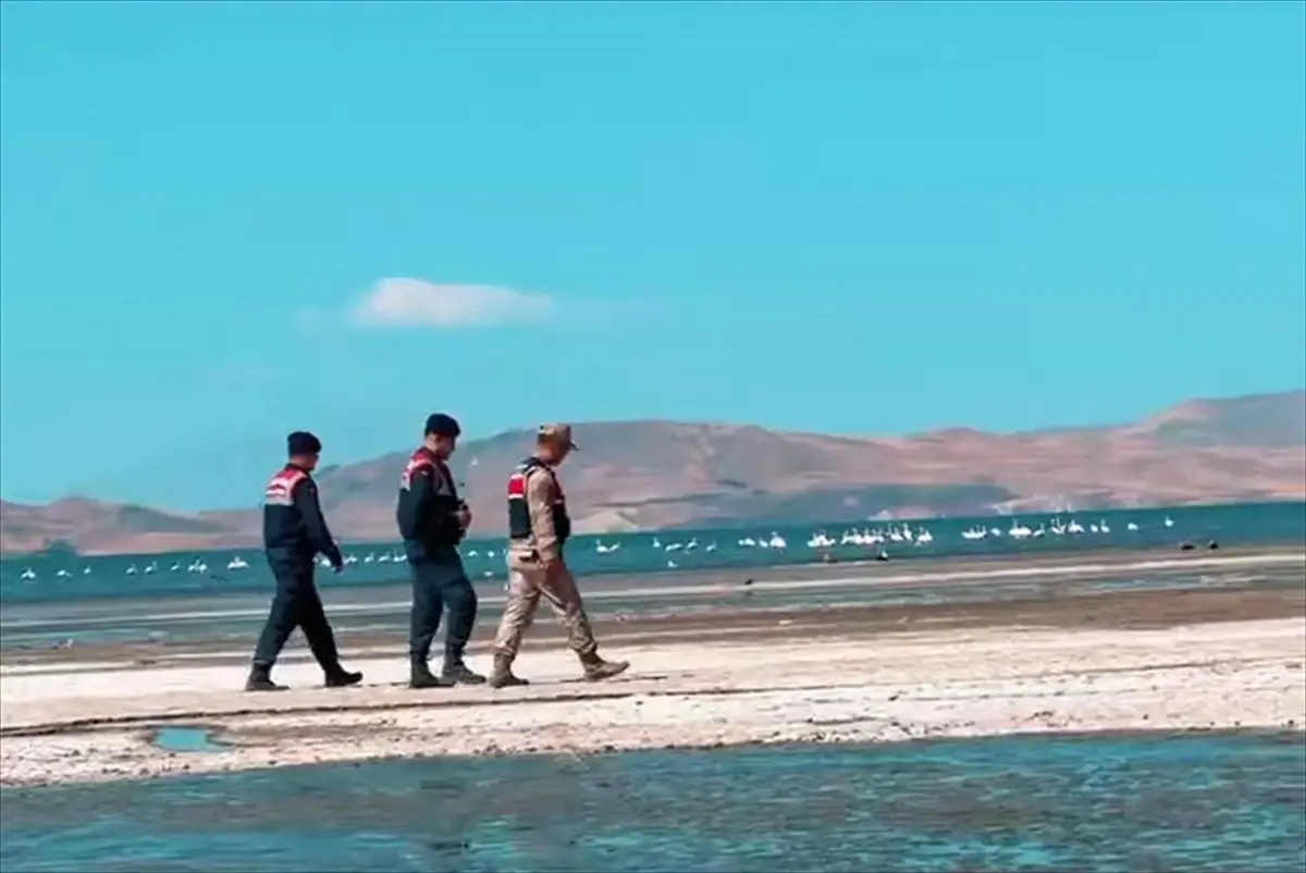 vanda flamingolari koruma calismasi FCRv8Ym4