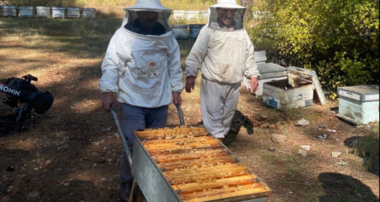 yangindan kacan arici mazota takildi xz2EypYs.jpg