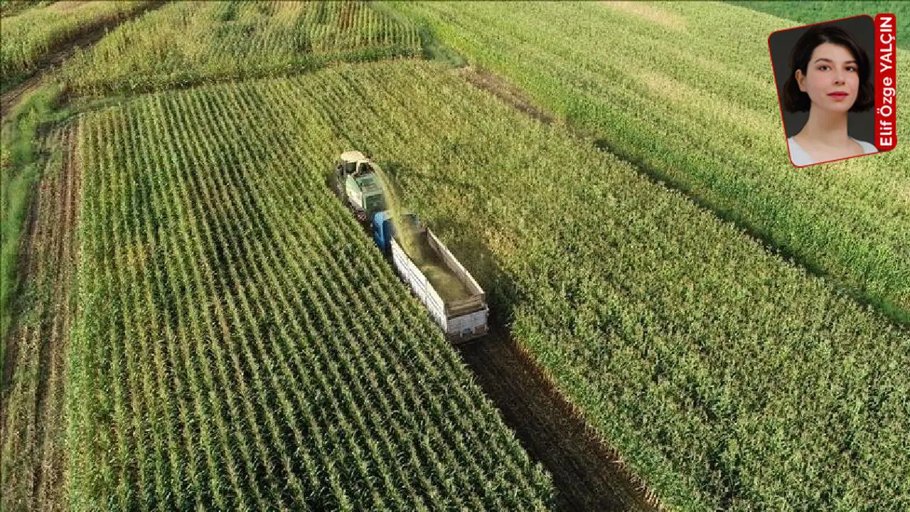 ‘Tarım Sektöründe Yeni Bir Dönem: Üretim Planlamasına Destek’